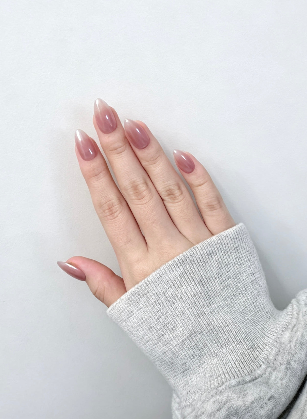 Glazed Cherry Blossom