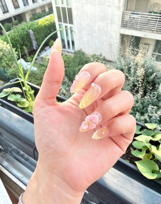 Crépuscule Rose