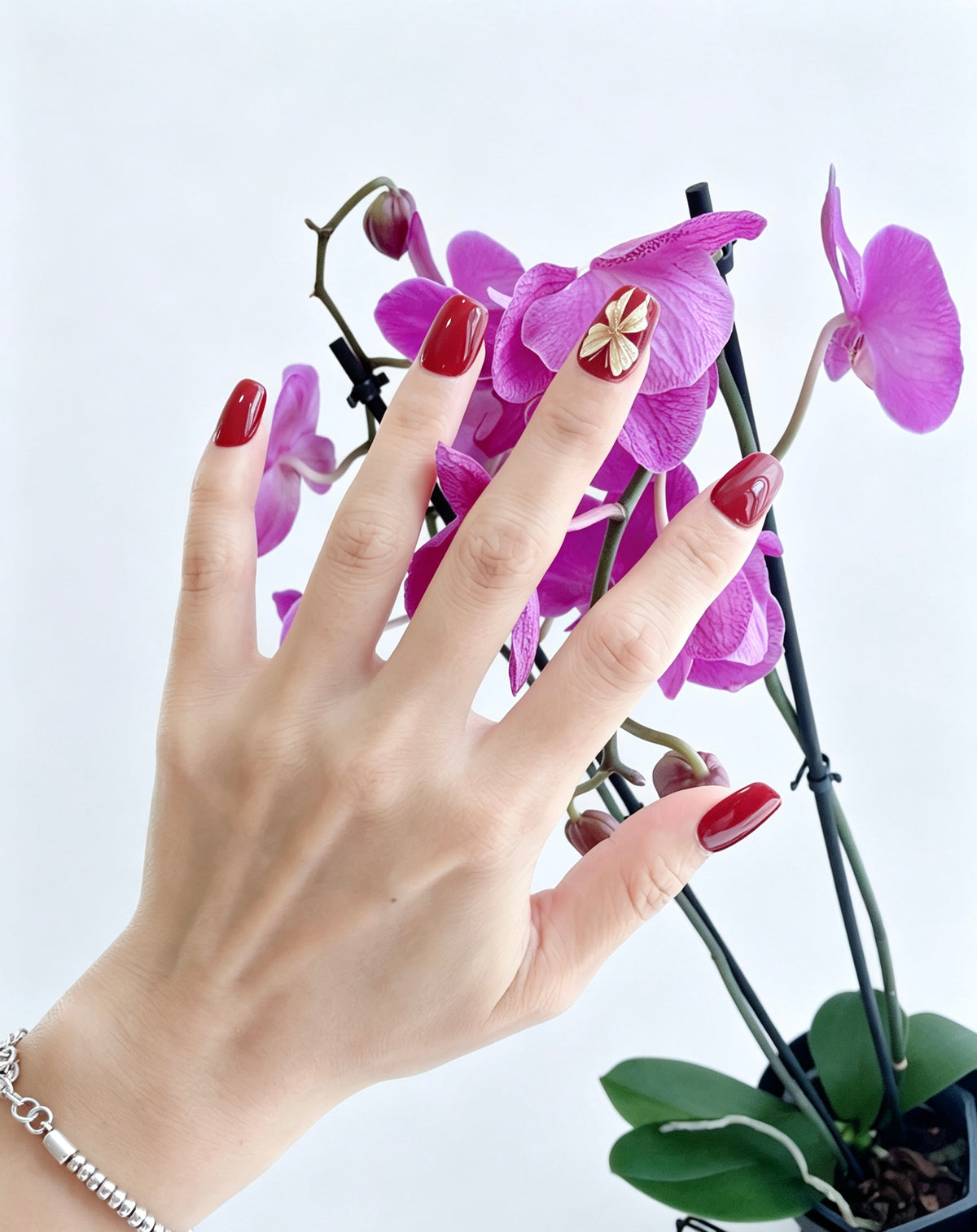 Rouge Obsession